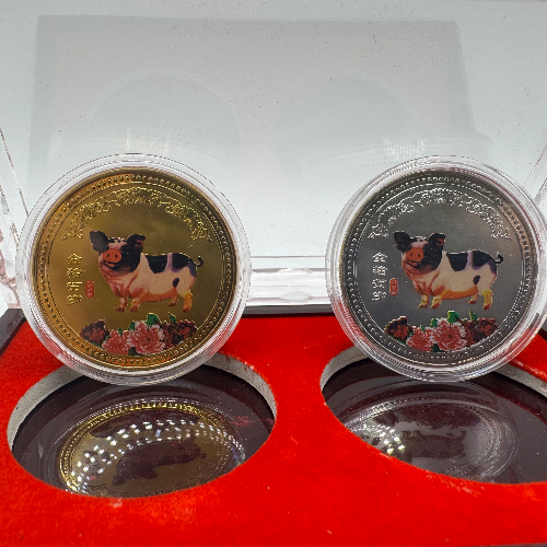 2007 - China Year of Pig Gold & Silver Coin