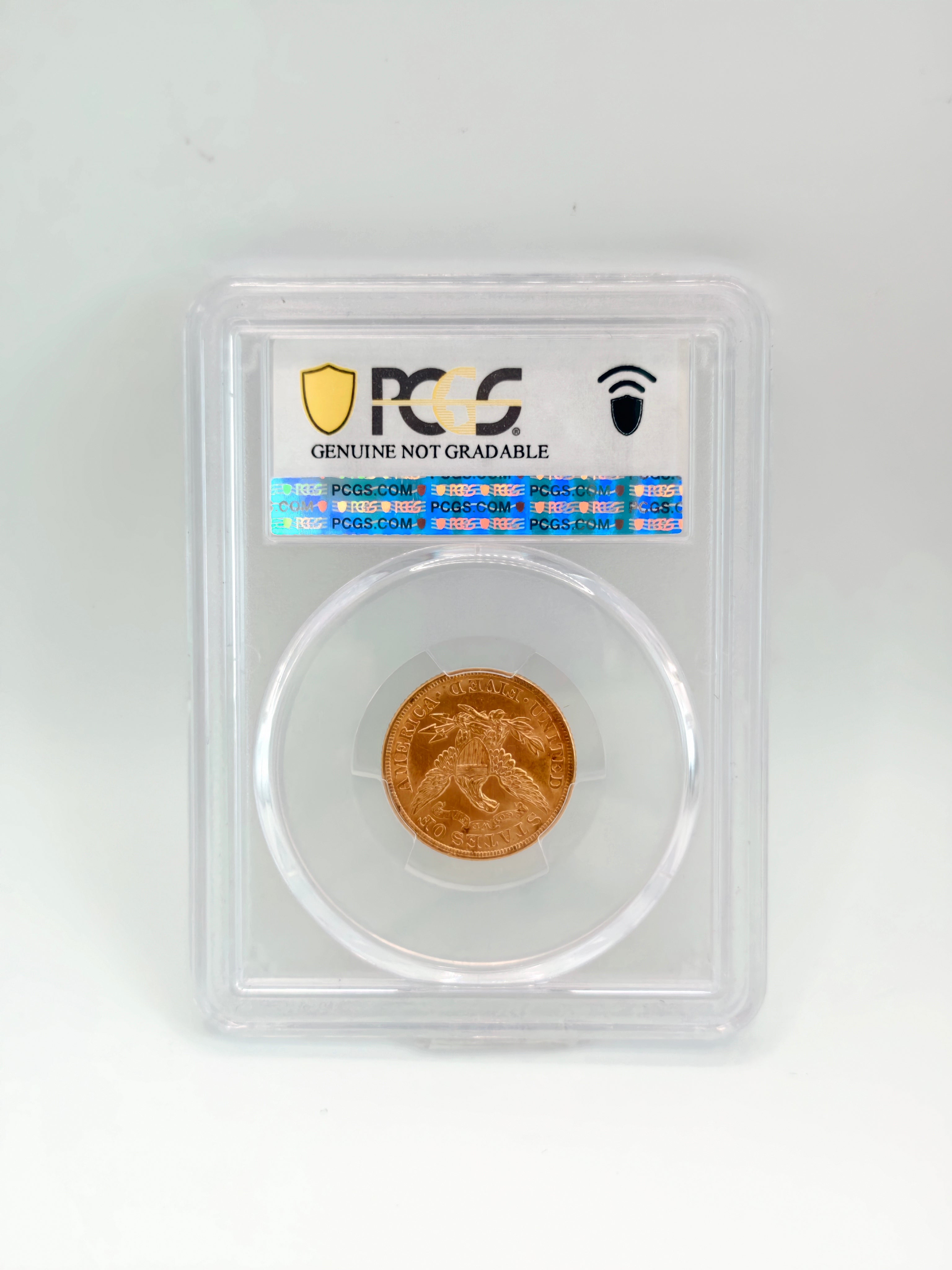 1900 - US $5 Scrape-UNC