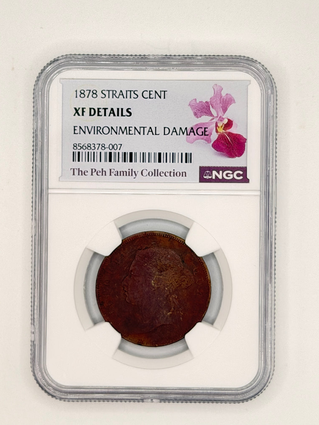 1878 Straits Cent XF Details Environmental Damage