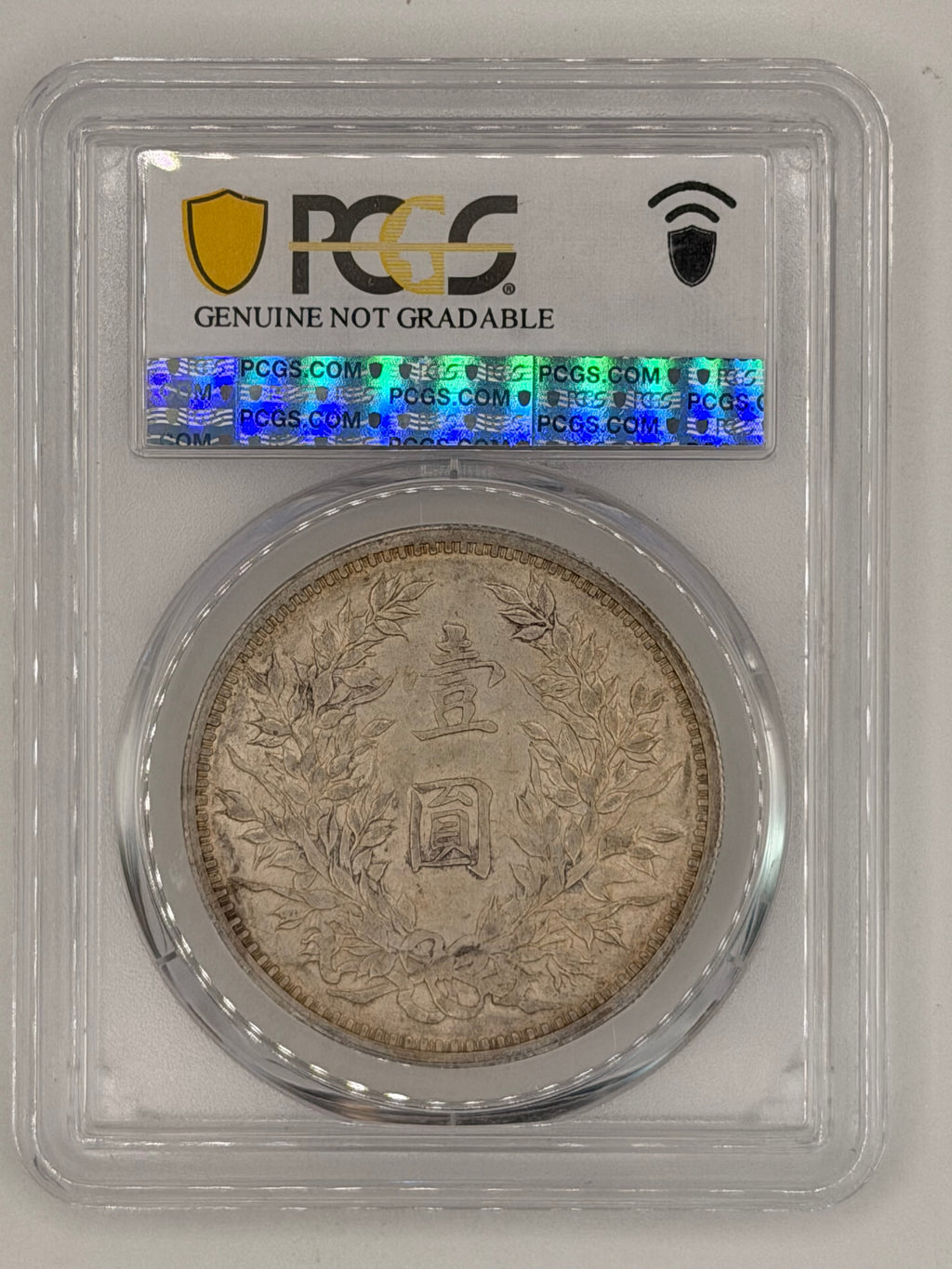 1920 China 袁大头 Year 9 AU Detail $1