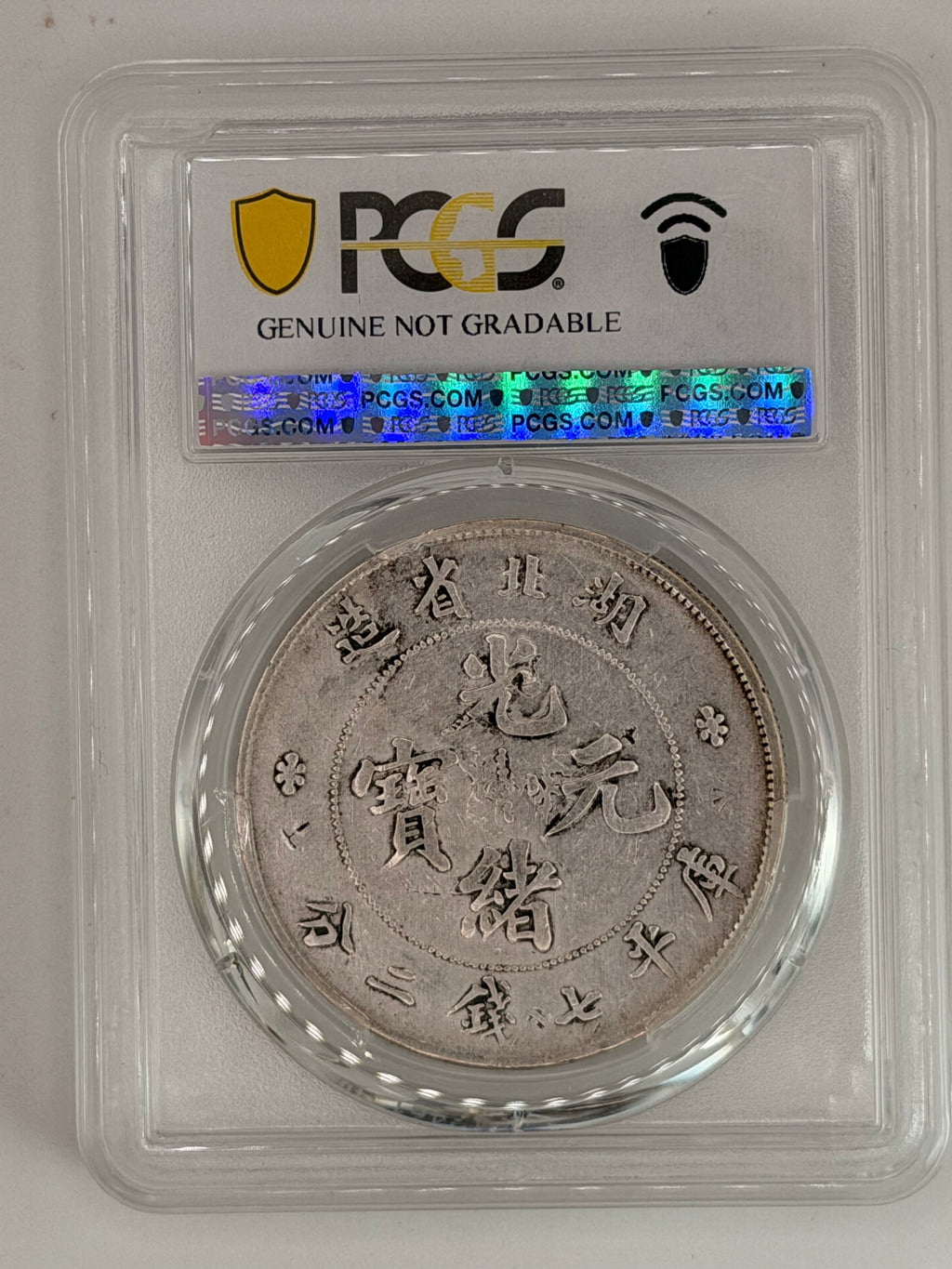 1895-07 - China Hupeh $1 PCGS Genuine Chop Mark-XF Detail